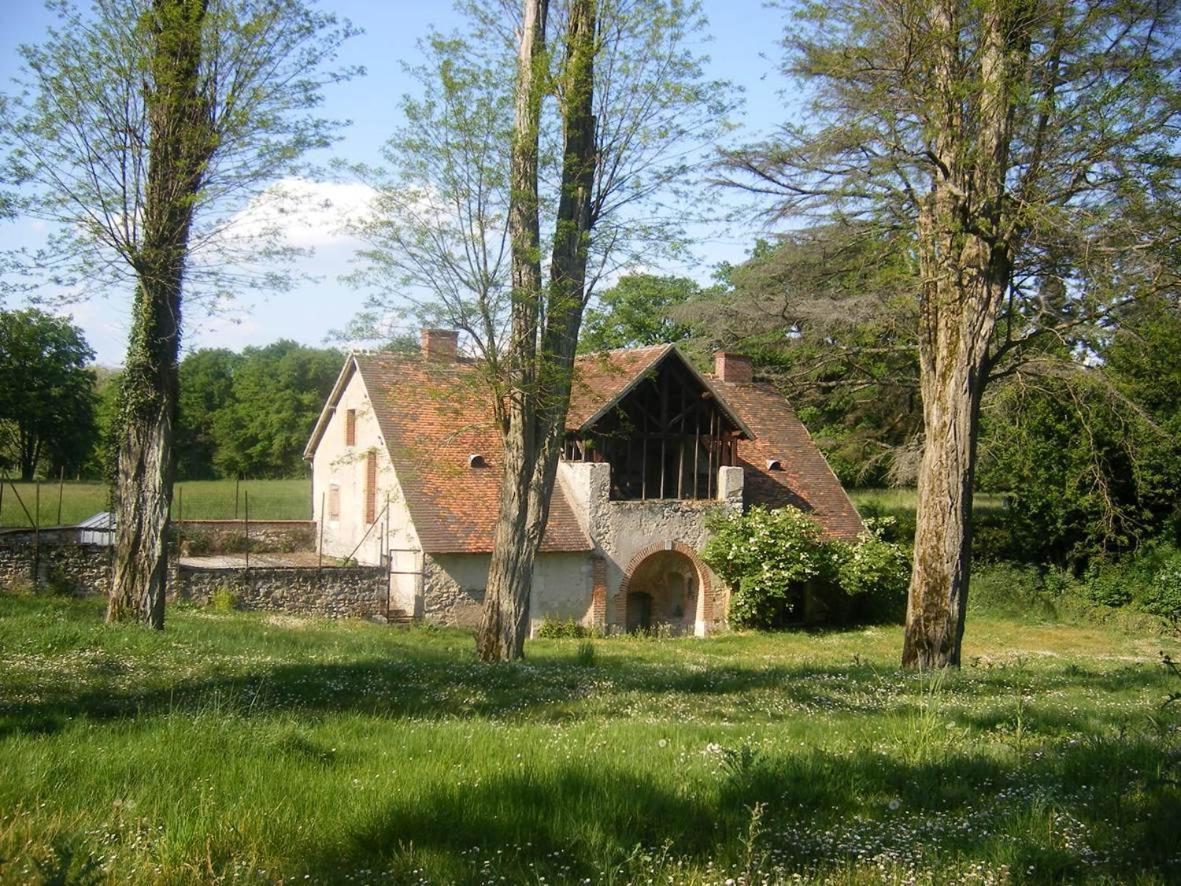 Le Chateau De La Brosse Chambres D'Hotes Brinay  外观 照片