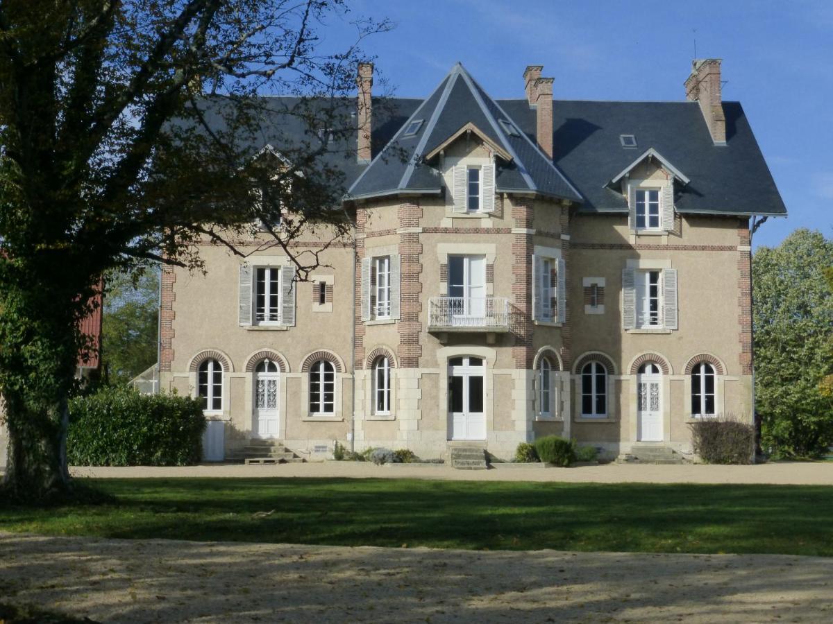 Le Chateau De La Brosse Chambres D'Hotes Brinay  外观 照片